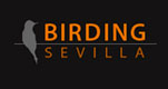 Birding Sevilla