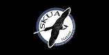 Skua