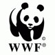 WWF