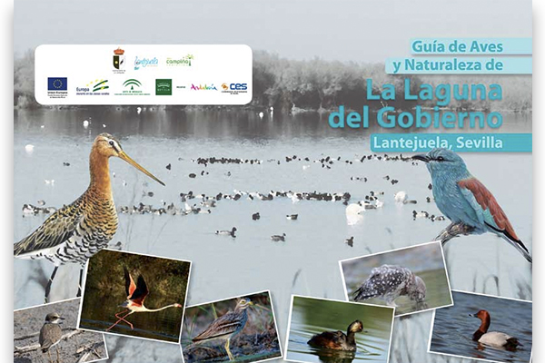 Guía de Aves y Naturaleza de la Laguna del Gobierno. Lantejuela, Sevilla_2