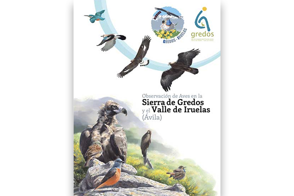 Observación de Aves en la Sierra de Gredos y el Valle de Iruelas_2