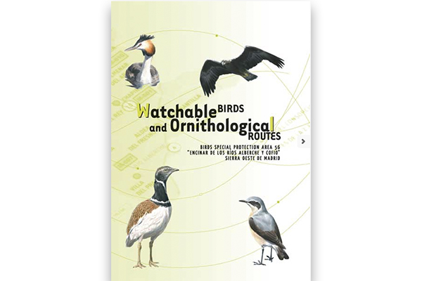 Watchable birds and Ornithological Routes. Birds Special Protection Area 56_2