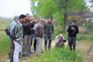 Algakon-curso ornitología Avila 1