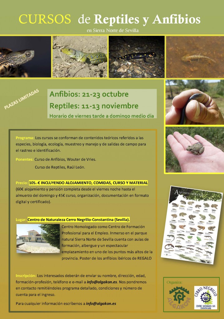 curso-anfibios-y-reptiles