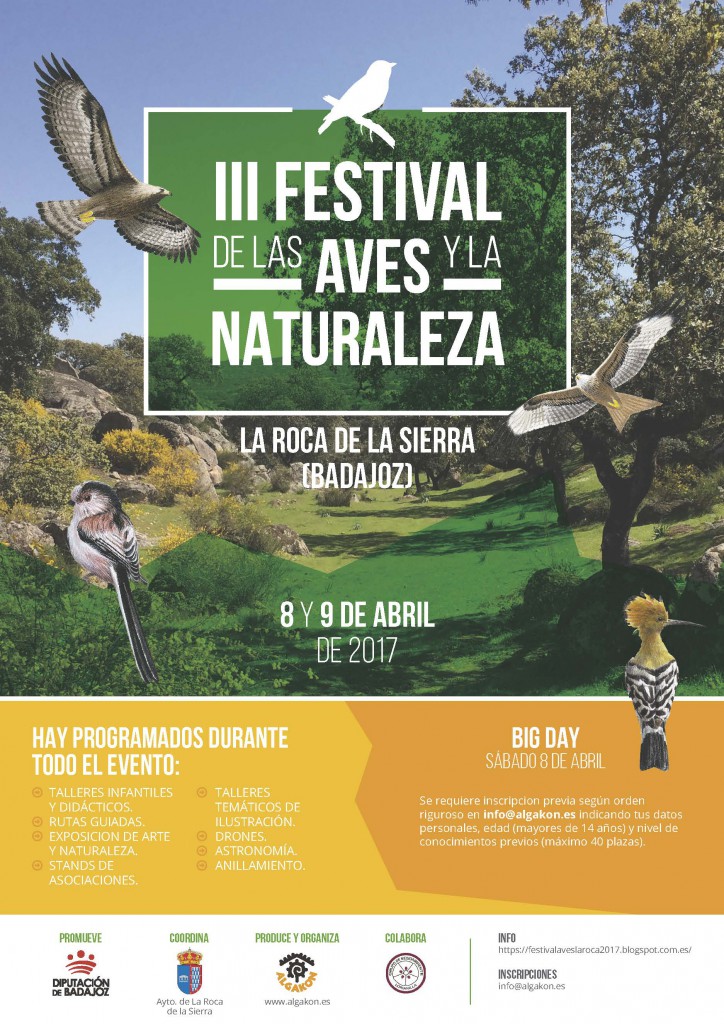 FESTIVAL AVES LA ROCA