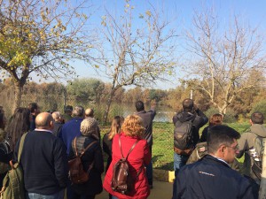 LAGUNA DE FUENTE DEL REY OBSERVACION DE AVES ALGAKON