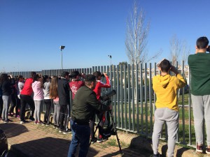 campaña sensibilizacion cernicalo primilla extremadura Algakon