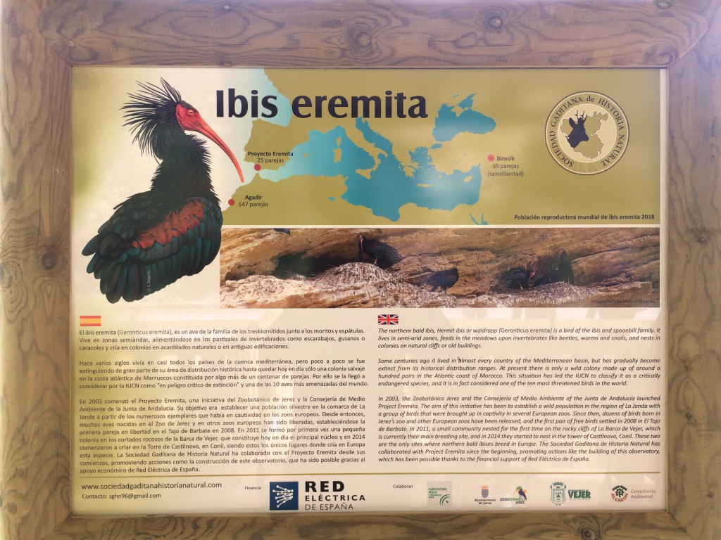 OBSERVATORIO IBIS EREMITA ALGAKON