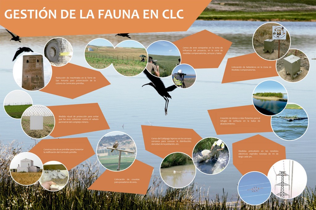 Medidas Compensatorias Avifauna para CLC - ALGAKON