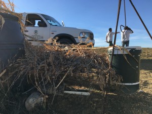 seguimiento aves esteparias ZIAE campos de tejada