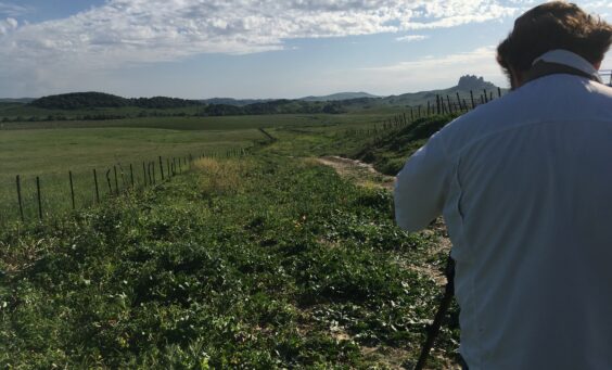 cernso aves Planta Solar Alcornocales (Cádiz)